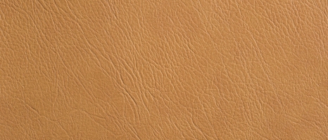 Salina Salina